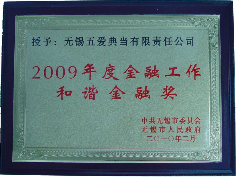 2009年金融和谐奖