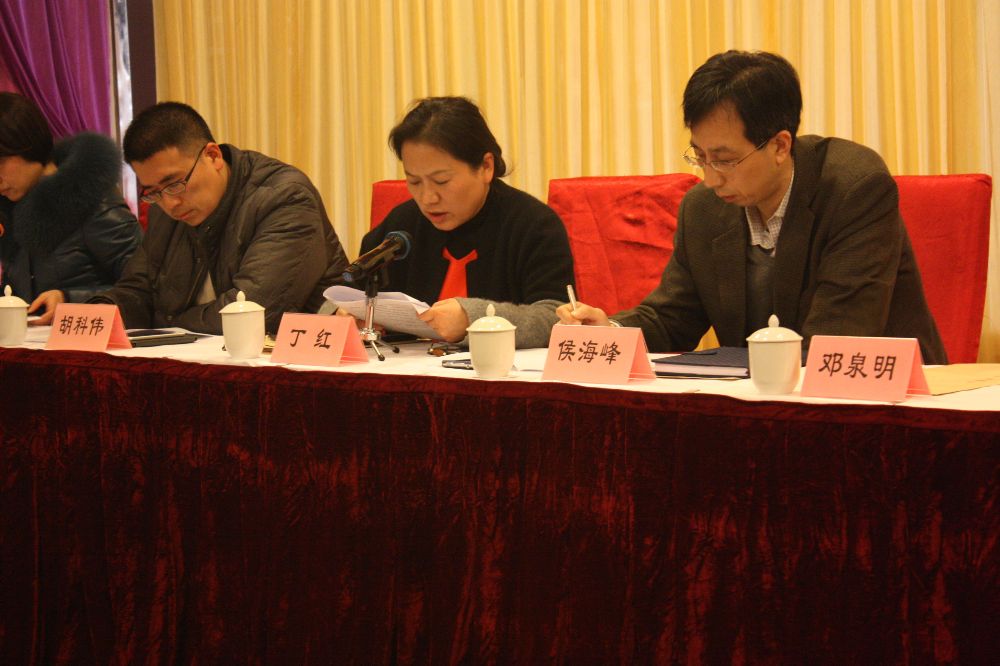 无锡典当行业协会会长丁红